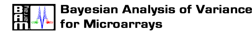 Bayesian Analysis of Variance for Microarrays